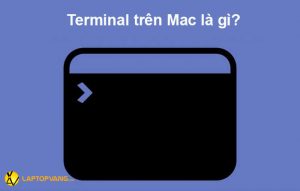 macos terminal