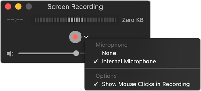 Show Mouse Clicks in Recording.