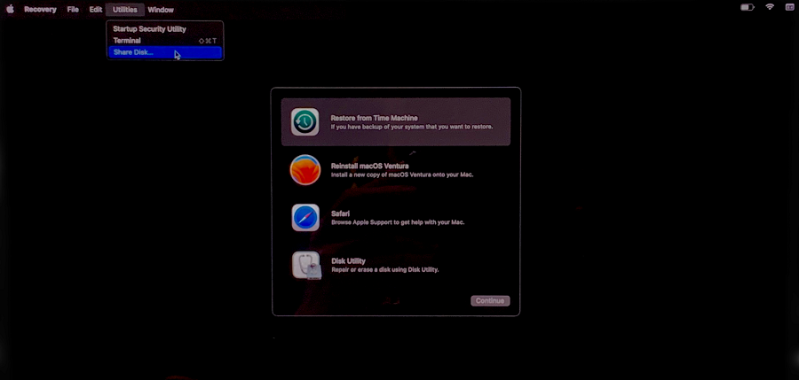 Share Disk