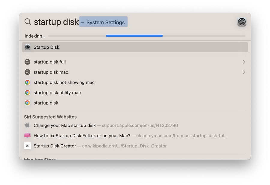 Startup Disk