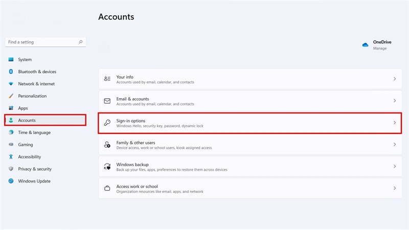 Sign-in Options