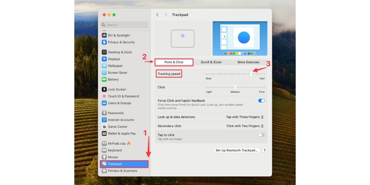 Chỉnh tốc độ trên TrackPad