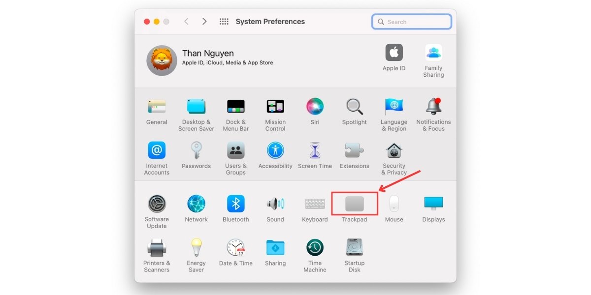 Chọn TrackPad