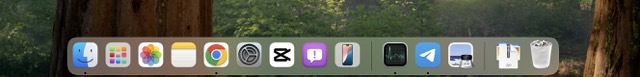 Thanh Dock macOS